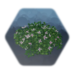 Plants & Bushes