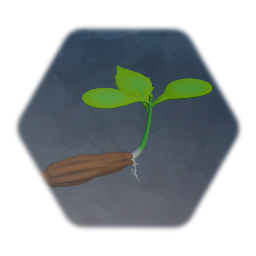 Community Garden Finale: Dandelion Sprout