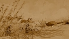 Create Your Own Desert(randomly generated) - 4/18/2021