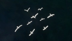 A screenshot taken in Dreams. 2 of 2.