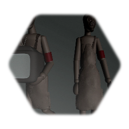 Half life 2 beta citizen