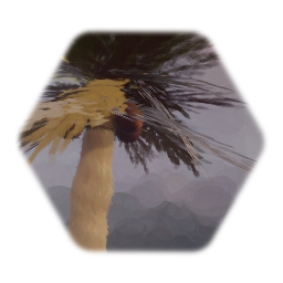 Palm Tree 01