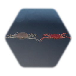 crabs