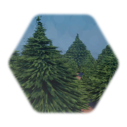 Tree fir wide