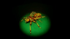 A screenshot taken in Dreams. 29 of 29.