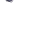 TS_CaptSeagrams3
