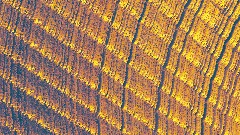 CheekiiBoom - Fast Lane (Video Jam)