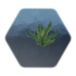 Sea Grass