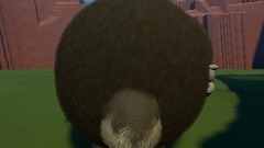 The king of the chungus