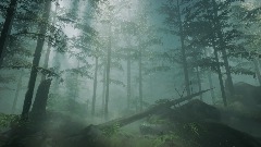 Realistic forest