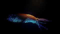 A screenshot taken in Dreams. 12 of 17.