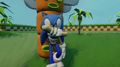 Sonic Animation