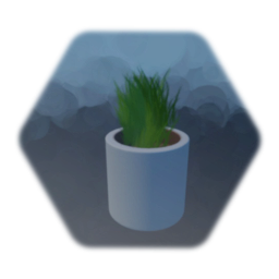 Plant in Stone Cylinder