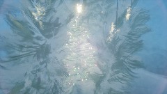 Christmas tree at the forest in early morning