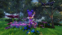 NiGHTS test animation