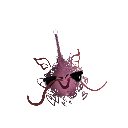 Nightolus