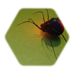 Redback Spider
