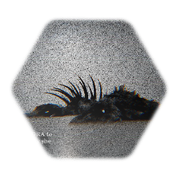 [SENIOR ZOTE] AKA <term> [ZOTE THE 1ST]