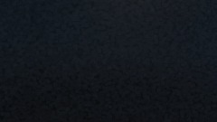 Trinchia's Adventures