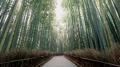 A screenshot taken in Dreams. 1 of 24.