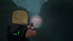 Path through the Woods