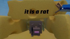 its a rat