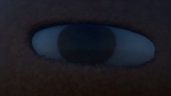 The Meatball Man But I Ruined It