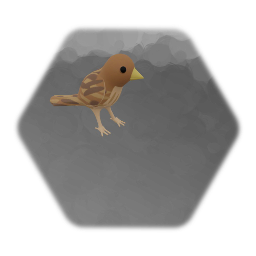 Sparrow flies in and lands