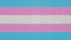 Queer History: Miss Major and Her Girls