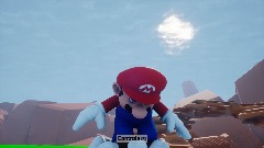 The Mario adventure