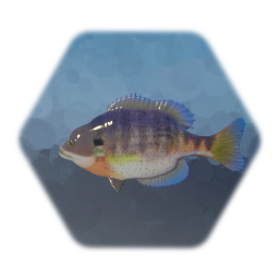 Bluegill Fish (Low Thermo)