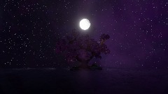 The Lone Cherry Blossom Tree