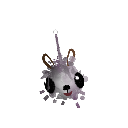 timon_5000