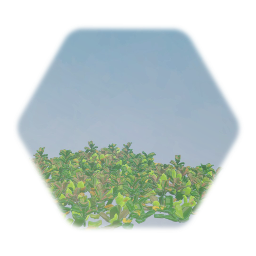 Tropical Ground Cover