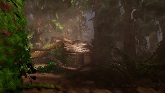 Redwood Forest (Idea)