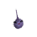 Sanguine__Sage