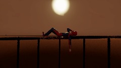 Just Relaxing in The Sunset