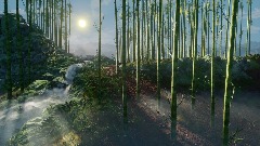 Tranquil Bamboo
