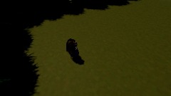 The haunted woods