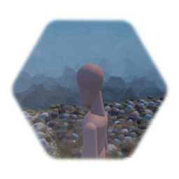 Sol cailloux herbe seche