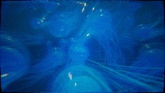 A screenshot taken in Dreams. 2 of 10.