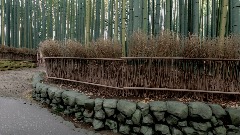 A screenshot taken in Dreams. 3 of 25.