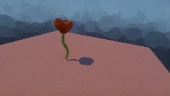 My Creation - 2/26/2020