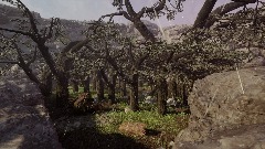 Realistic Forest