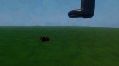 Spiders lucky day