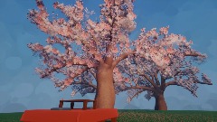 桜 Cherry Blossoms