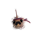 MooseMan_2020