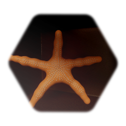 Orange starfish