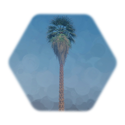 Desert Collection - WIP