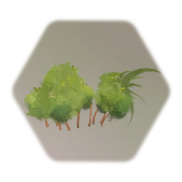 Hedge D